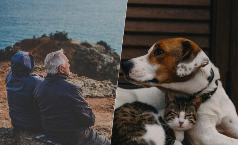 La soledad ya es una cuestión de salud pública. Tenemos más y más evidencia de que los animales nos ayudan a aplacarlo.