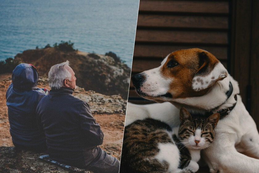La soledad ya es una cuestión de salud pública. Tenemos más y más evidencia de que los animales nos ayudan a aplacarlo.