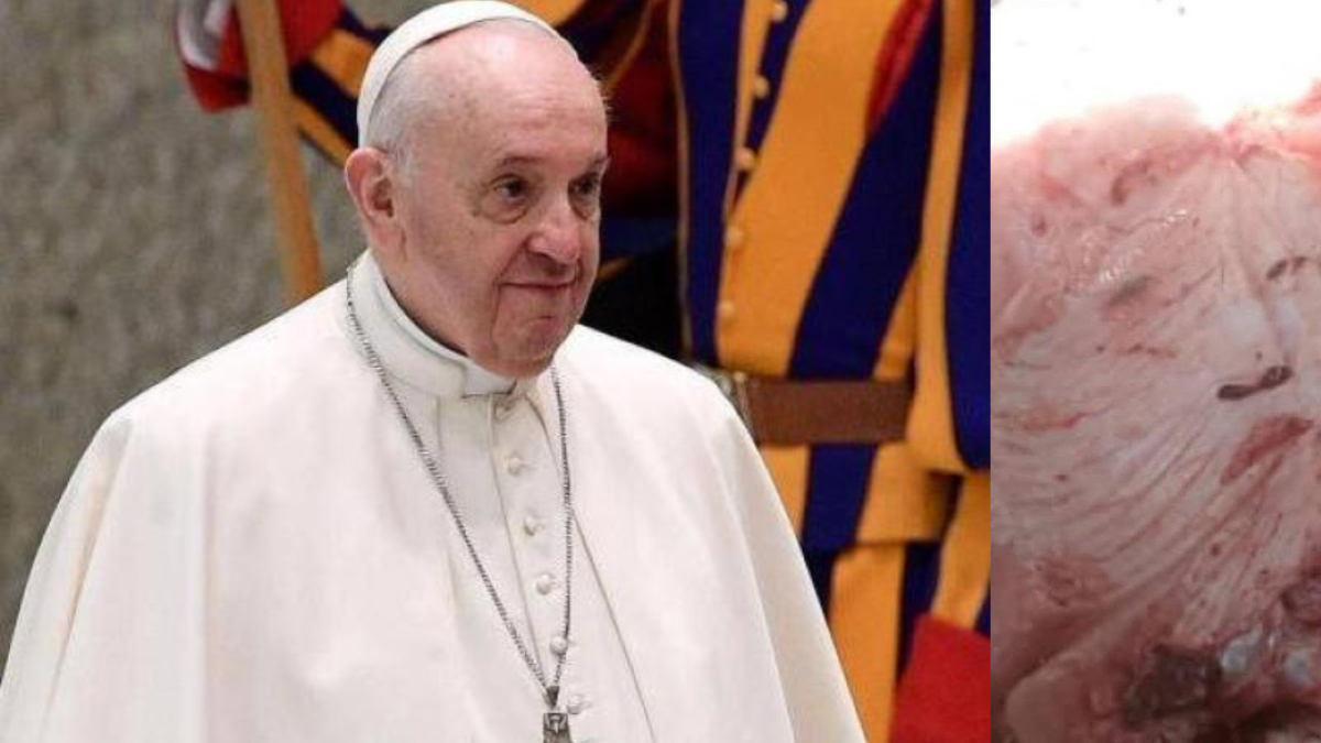 ¿Milagro en el río San Jorge? La cara del Papa Francisco aparece en la piel de un pez