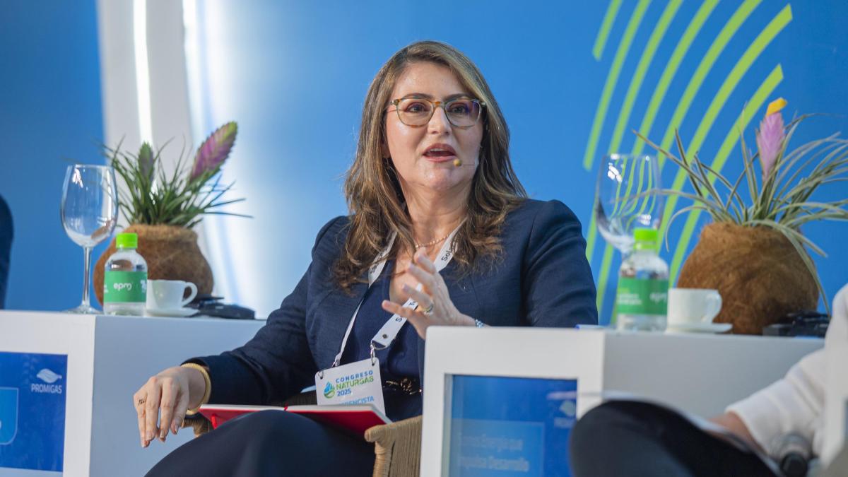 «No todos resolvieron traer gas natural»