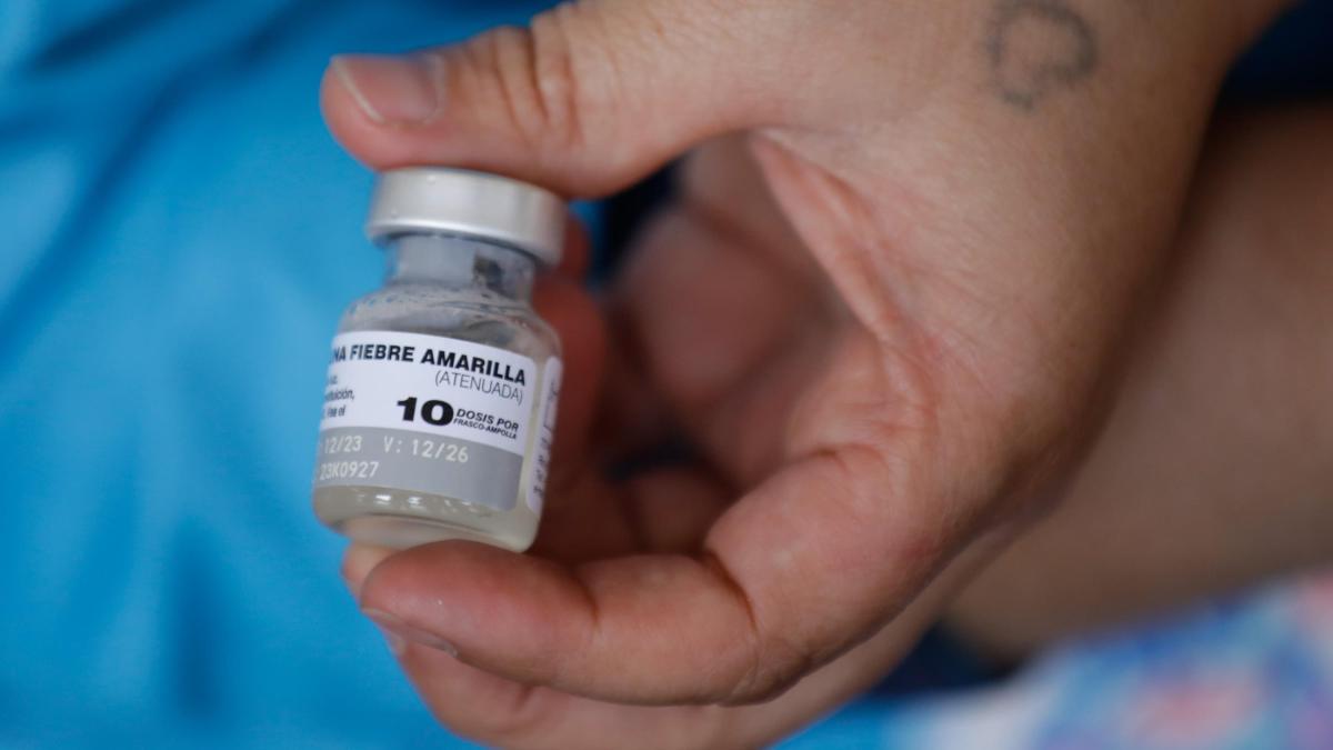 Atlantic adopta medidas nacionales contra la fiebre amarilla.
