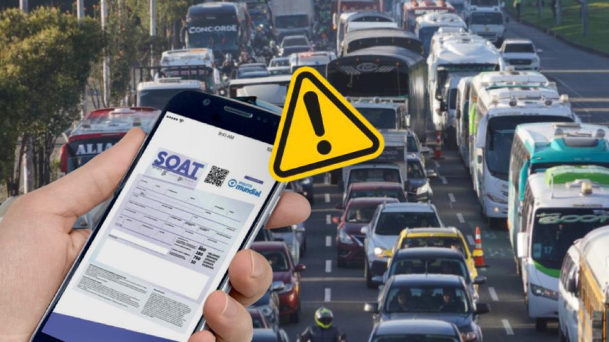 Beneficio que SOOAT es más barato que pocas personas saben: pocas han logrado descuentos