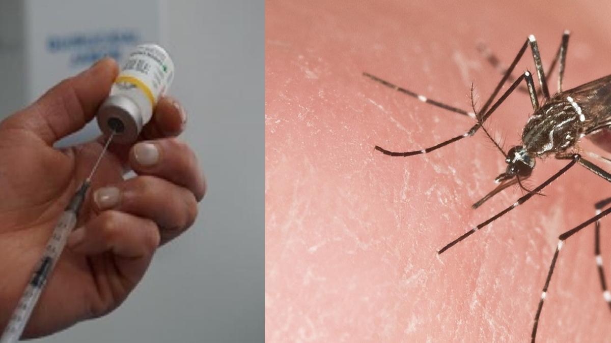 Este es su informe de salud