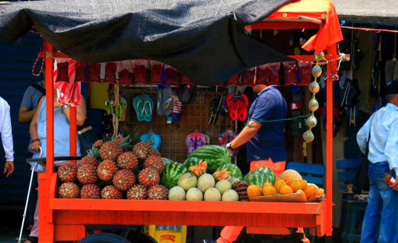 «Search» fue cuatro meses de creación de empleo en Colombia