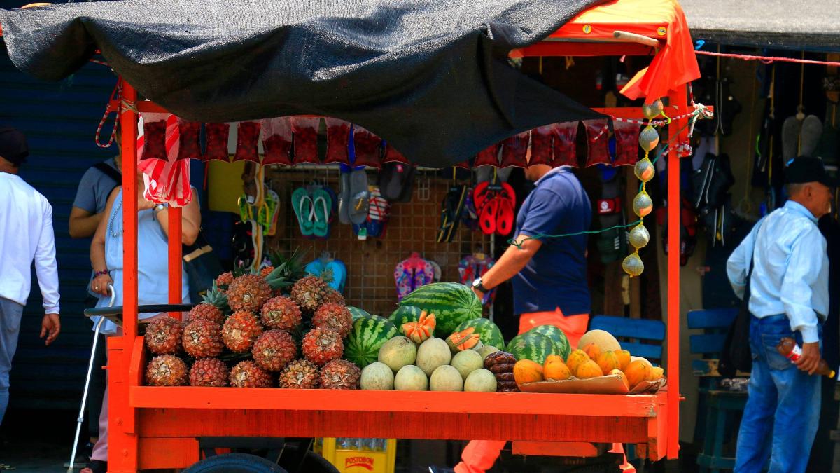 «Search» fue cuatro meses de creación de empleo en Colombia