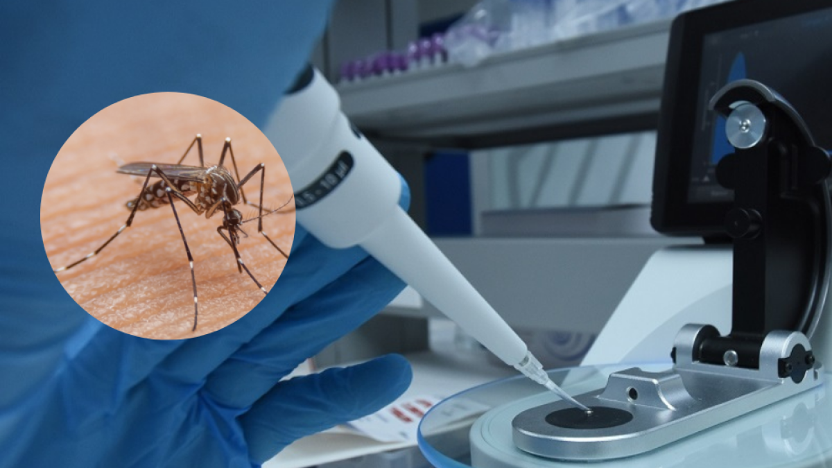 Unisimon propone inteligencia artificial para fortalecer el control de la fiebre amarilla en Colombia