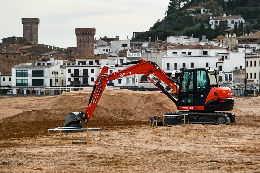 Las algas asiáticas se están convirtiendo en un gran problema