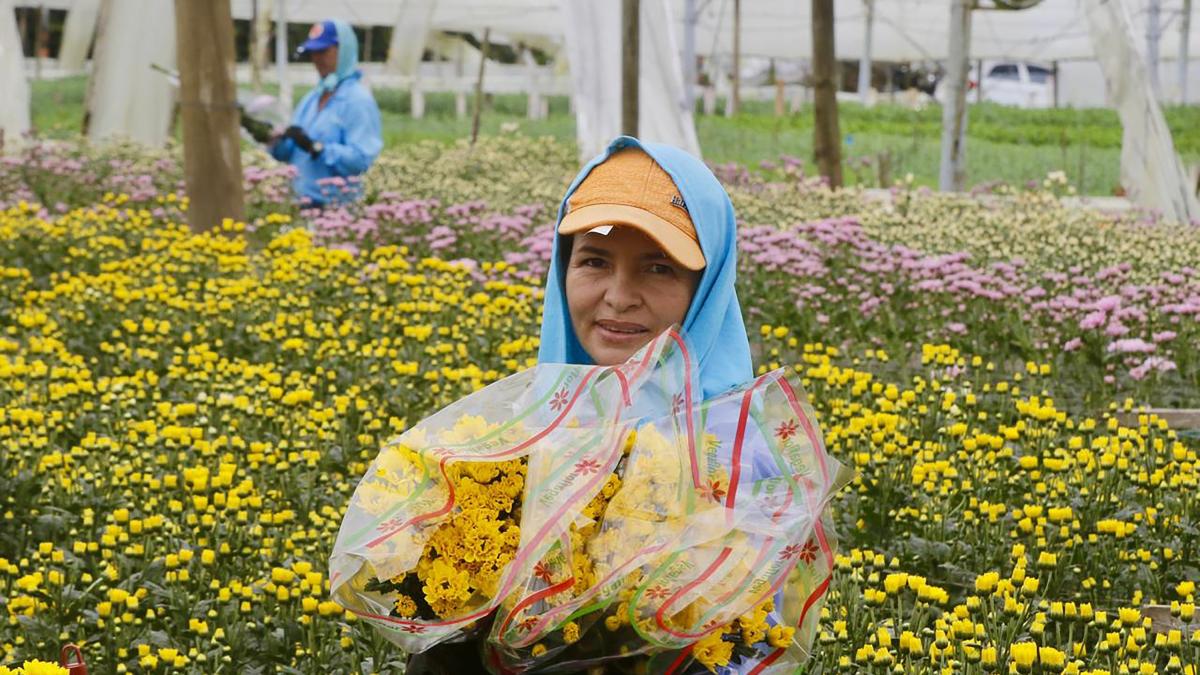 ¿Cuántos colombianos arreglarán para celebrar el Día de la Madre? Esto revela un estudio kantar