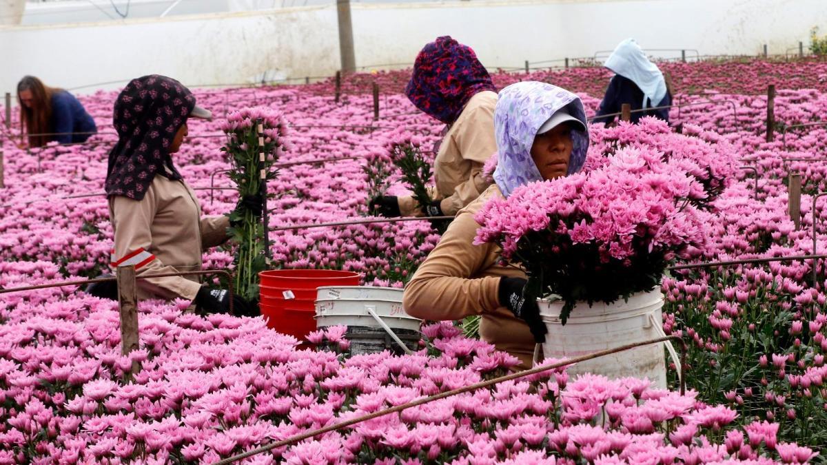 Floters predicen más ventas, pero existe incertidumbre debido a los aranceles