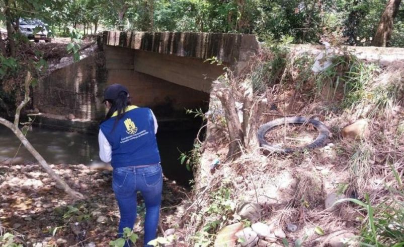 Uno, que pertenecería al ‘Zarco’, fue decapitado y otro fue desmembrado