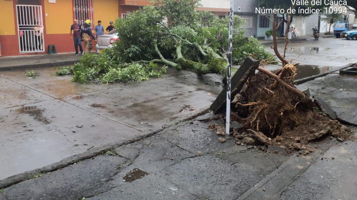 Cali fue colapsado nuevamente por fuertes lluvias: en el oeste, Gulce rompió el vaso de una ventana