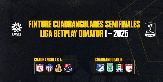 Licencia completa de la liga BetPlay League 2025-1

 – Tinta clara