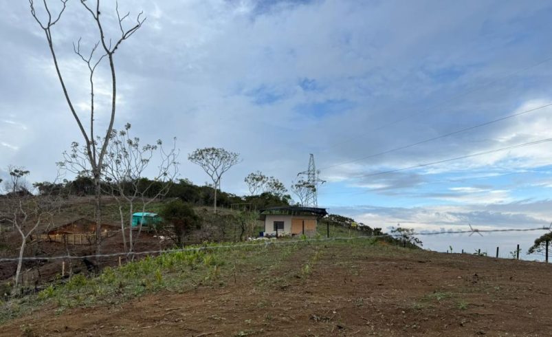 La controvertida tierra de narcotraficantes en Jamundí, donde los estafadores venden lotes caros: ¿mafia de invasión?