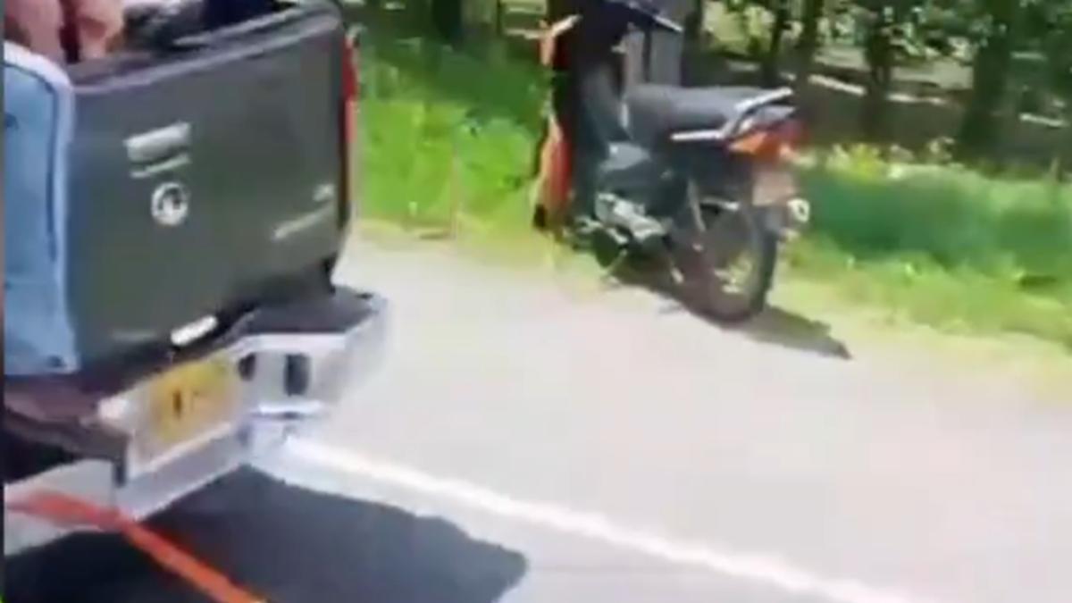 Las autoridades investigan el vehículo que habría arrastrado a una vaca, después del accidente en Palmira