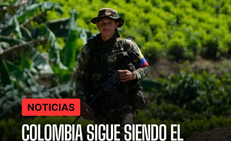 Colombia sigue siendo el principal productor de cocaína: alerta de la ONU para un aumento del 53 % – 

 – Tinta clara