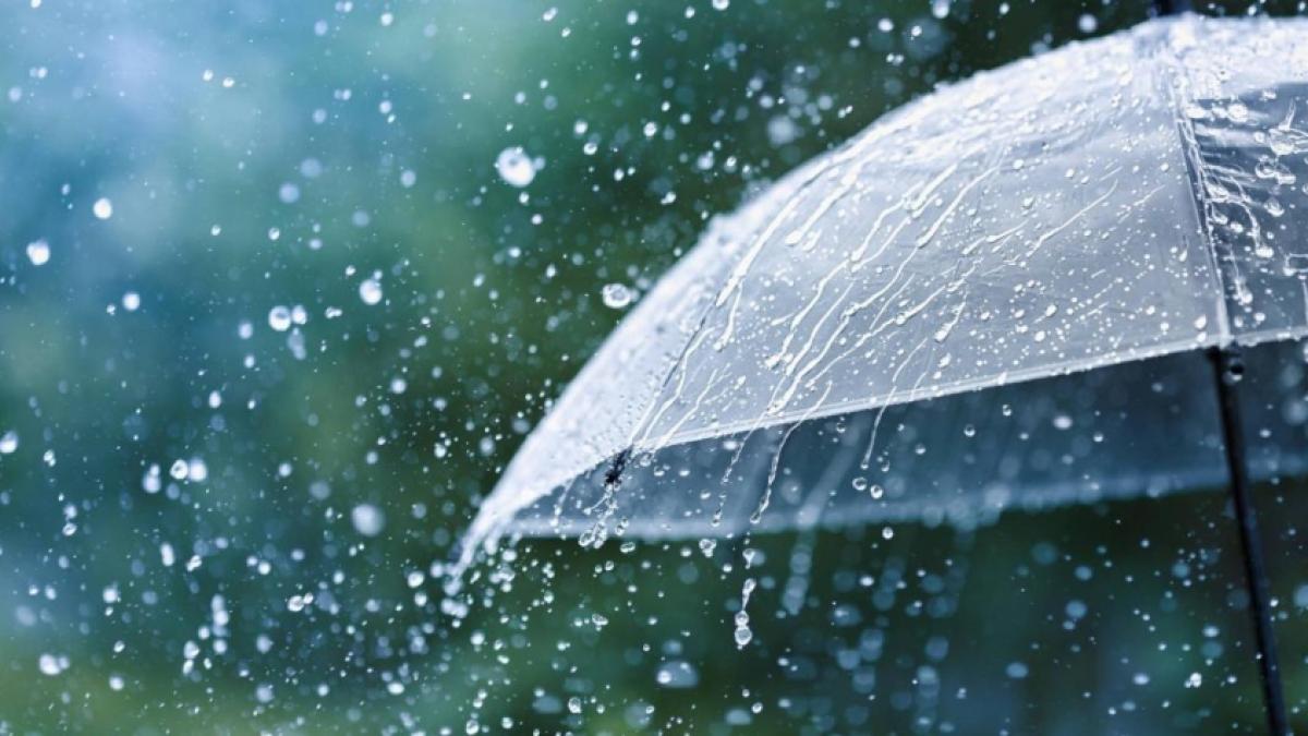 ¿Cuándo dejará de llover en Colombia? IDEAM actualiza la lluvia y el pronóstico de emergencia

 – Tinta clara