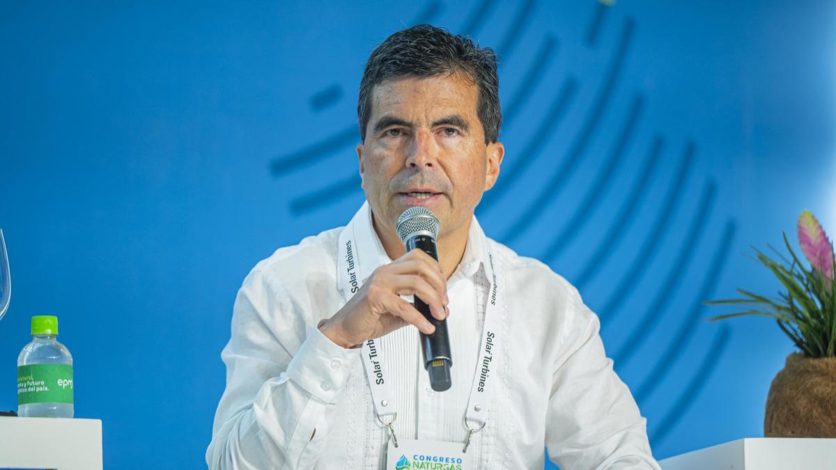 «Se detectaron gasolina y petróleo, pero no tuvimos éxito en la conversión en reservas», dice ANH

 – Tinta clara