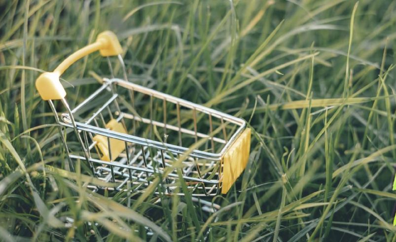 compras sostenibles, BNPL y más

 – Tinta clara