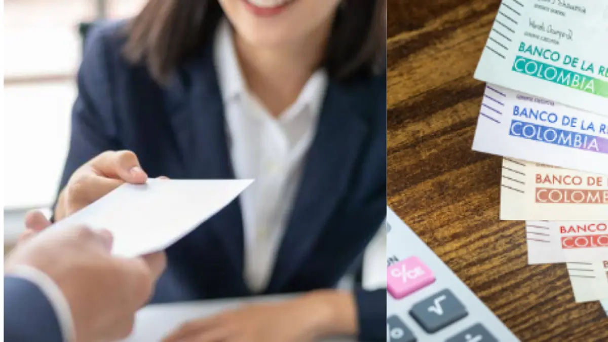 Lista de consejos para la explotación de mediados de año y adquirir su propia vivienda; Para que puedas hacerlo

 – Tinta clara