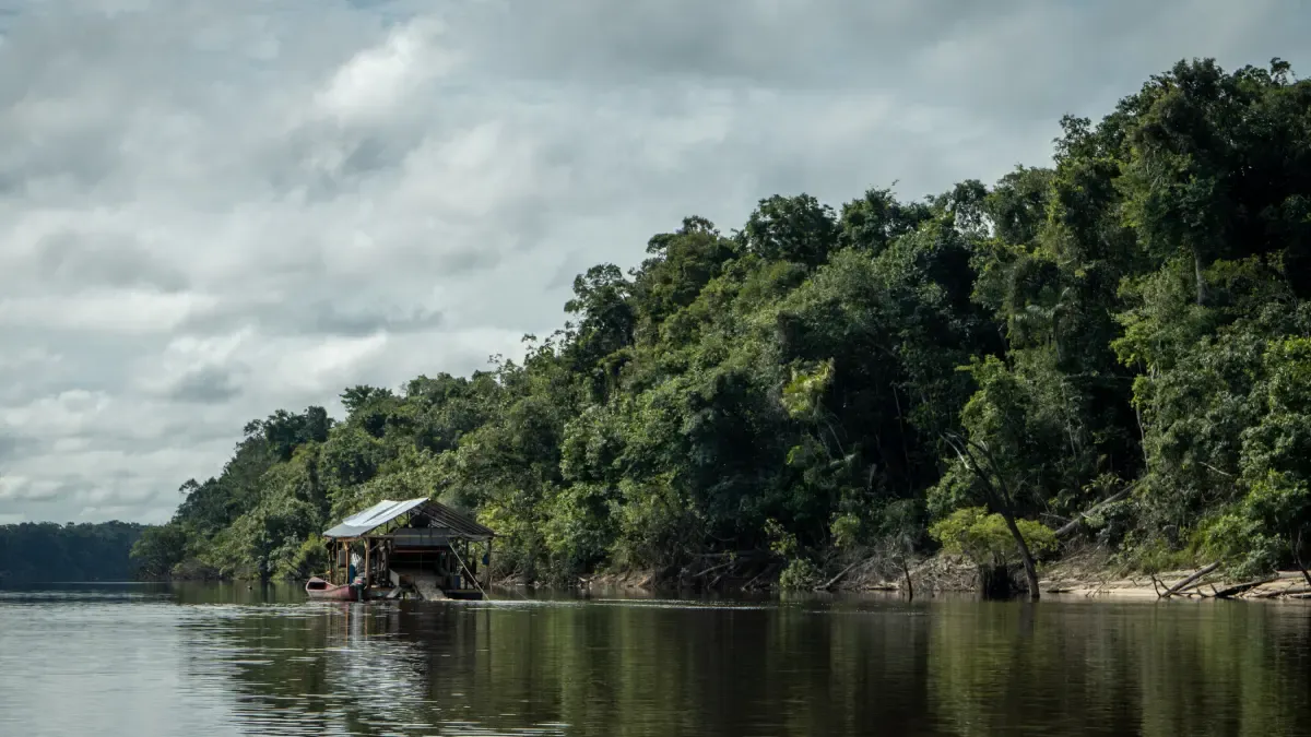 el veneno que contamina a comunidades y ríos en Guainía – Tinta clara
