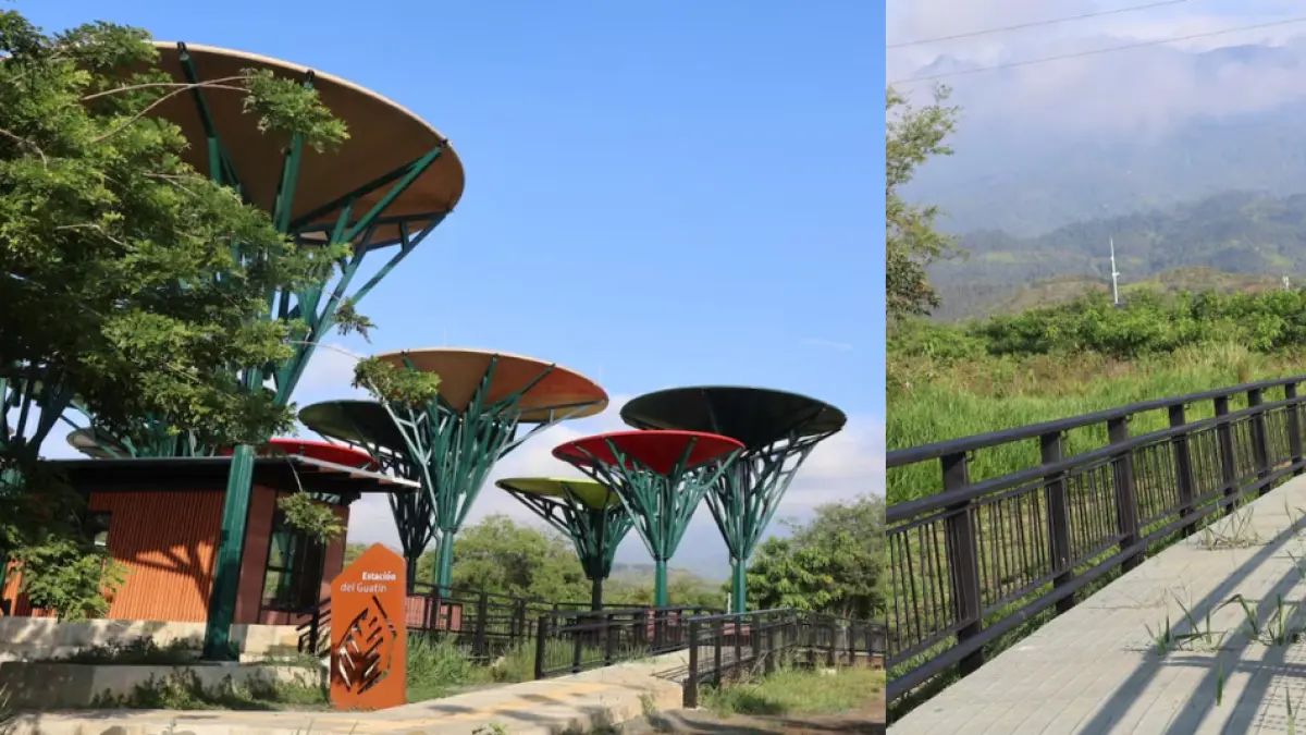 Un nuevo espacio natural dedicado a la restauración ecológica en Cali

 – Tinta clara