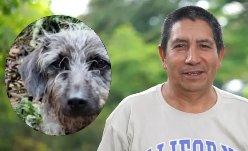 El perro lo acompañó hasta el final

 – Tinta clara