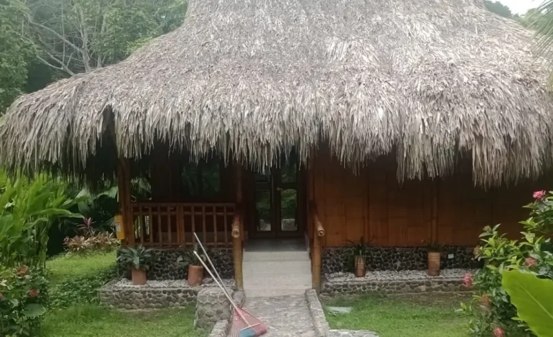 La familia Méndez se defiende de las acusaciones de amenazas y apropiación del hotel en el Tayrona

 – Tinta clara
