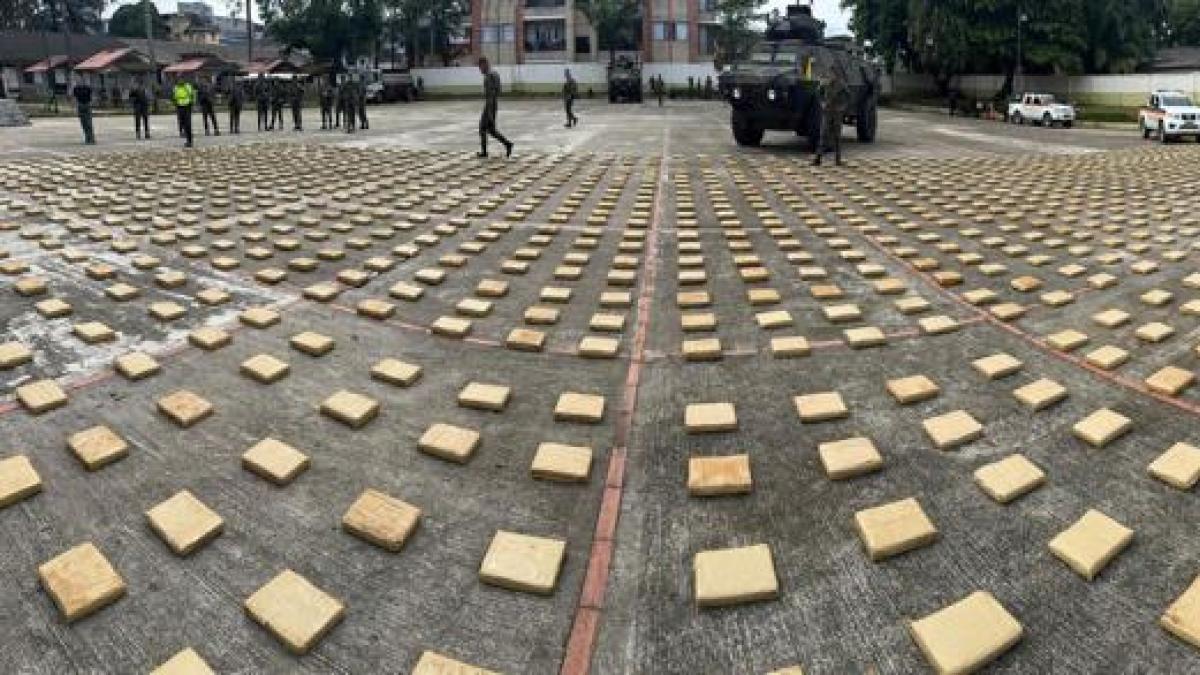 El conductor intentó sobornar con 200 millones

 – Tinta clara
