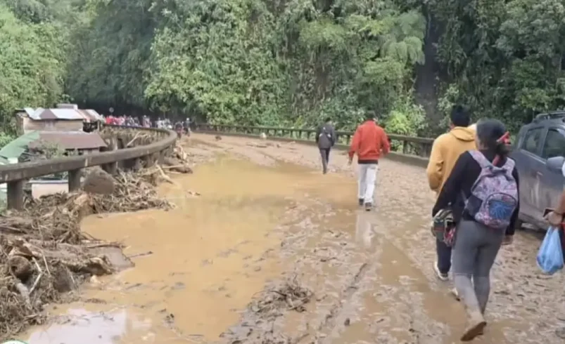 El mar en Nariño todavía está cerrado por deslizamientos de tierra y avalanchas causados ​​por el fuerte invierno

 – Tinta clara
