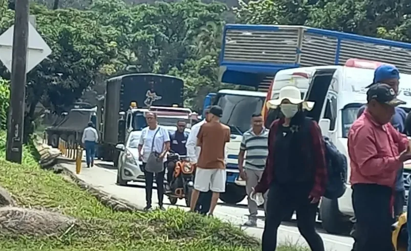 Las comunidades indígenas paralizaron el norte de Cauca durante más de cuatro horas

 – Tinta clara