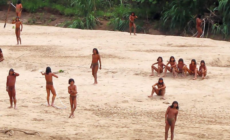 No es que estemos tallando demasiados árboles, es que la tribu Un Unpaort más grande del planeta está a punto de dejar de ser

 – Tinta clara