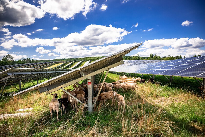 Si Europa está superando los registros de energía solar este verano, ¿por qué ha disparado el precio de la luz?

 – Tinta clara