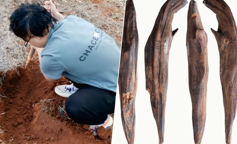 Hemos encontrado herramientas hace 300,000 años en China. Y pusieron piernas lo que creíamos en la paleodieta

 – Tinta clara