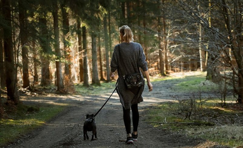 El debate sobre si es mejor caminar rápidamente o caminar lentamente se establece. Al menos si lo que estamos buscando es nuestra salud

 – Tinta clara