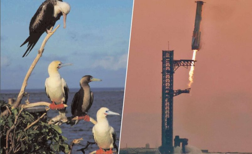 Estados Unidos y SpaceX querían revolucionar la entrega de armas en cualquier parte del mundo. Un pájaro tropical tenía otros planes

 – Tinta clara