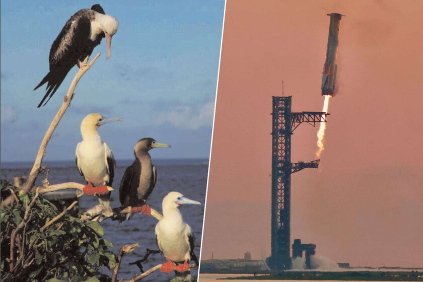 Estados Unidos y SpaceX querían revolucionar la entrega de armas en cualquier parte del mundo. Un pájaro tropical tenía otros planes

 – Tinta clara