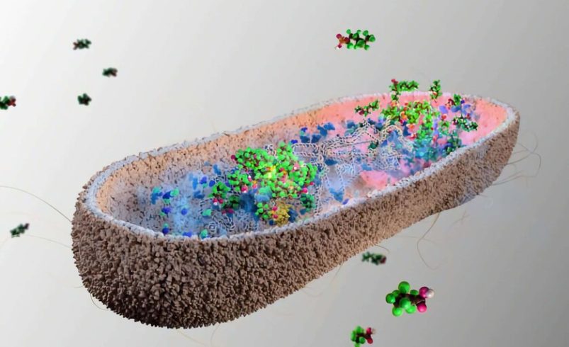 Nuestro cuerpo está lleno de «productos químicos eternos» casi indestructibles. Resulta que tenemos la solución en el intestino

 – Tinta clara