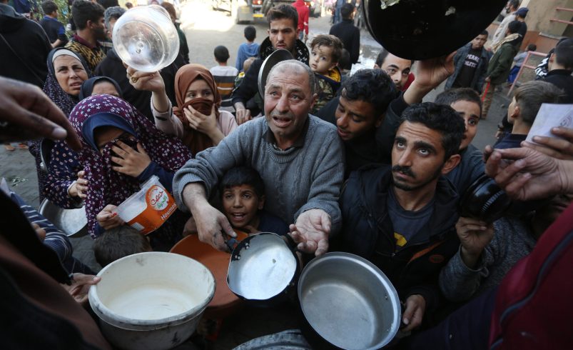 Crisis humanitaria en Gaza – 

 – Tinta clara