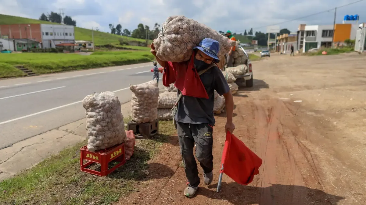 Razones que podrían conducir a grietas en Colombia para convocar nuevos desempleo como Riceros

 – Tinta clara