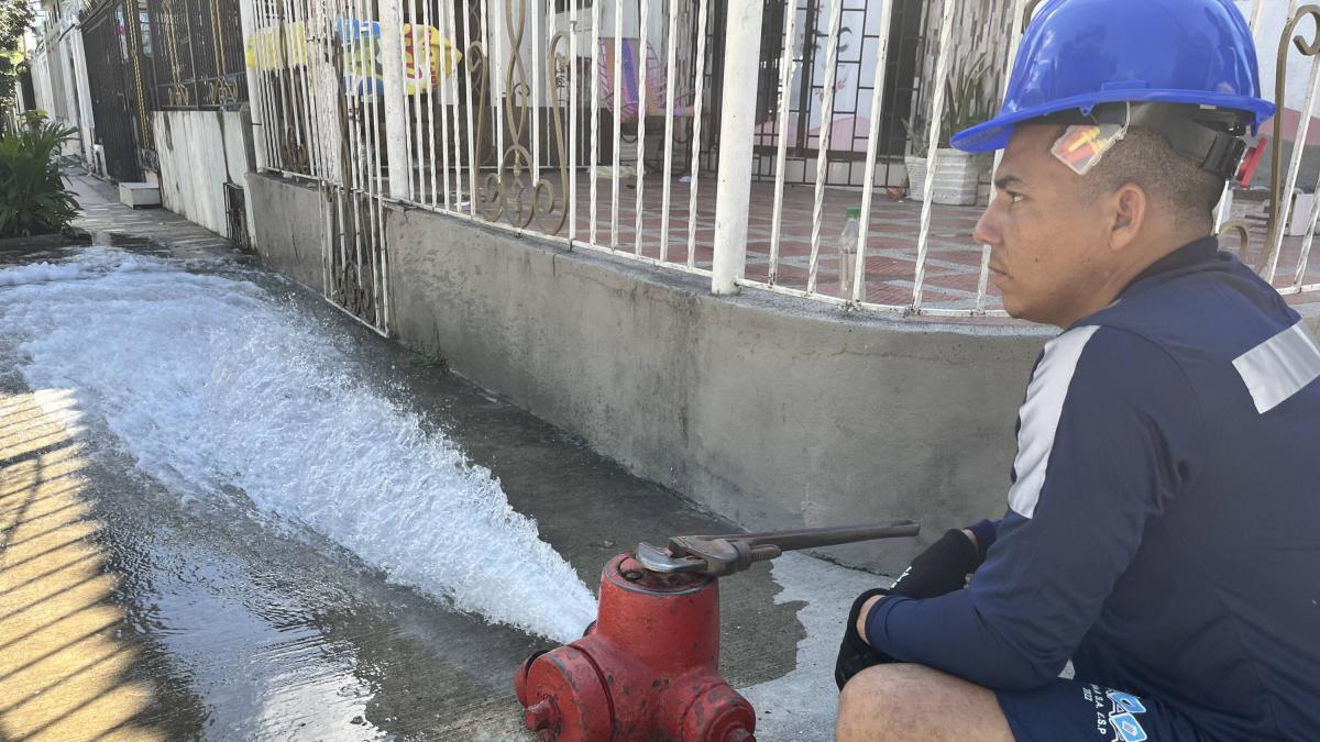 menos de tres meses para evitar el limbo de agua

 – Tinta clara