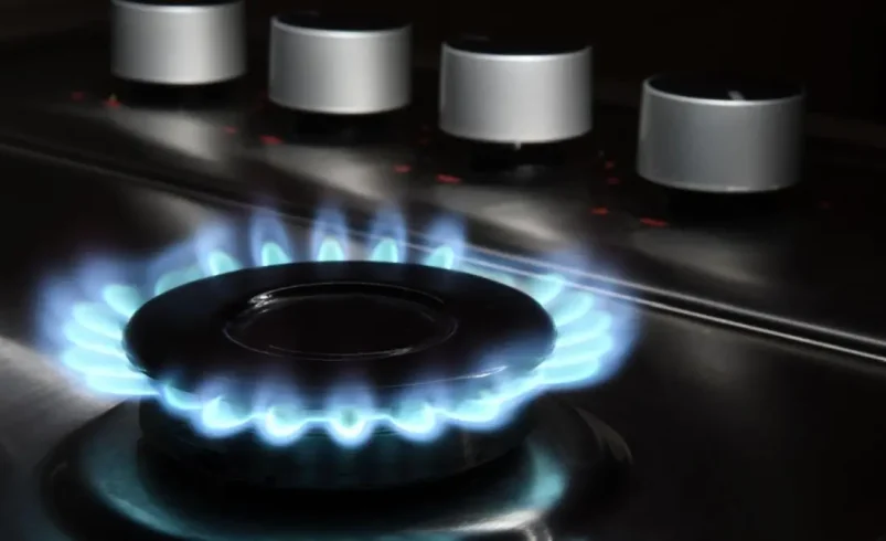 Vants advierte que 2026 tendrá que introducir un gas más natural para los hogares de servicios, grandes empresas e industrias

 – Tinta clara