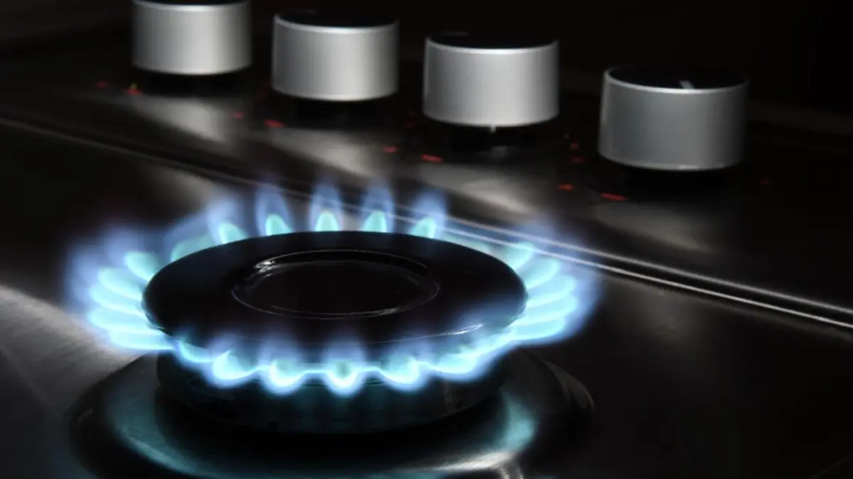 Vants advierte que 2026 tendrá que introducir un gas más natural para los hogares de servicios, grandes empresas e industrias

 – Tinta clara