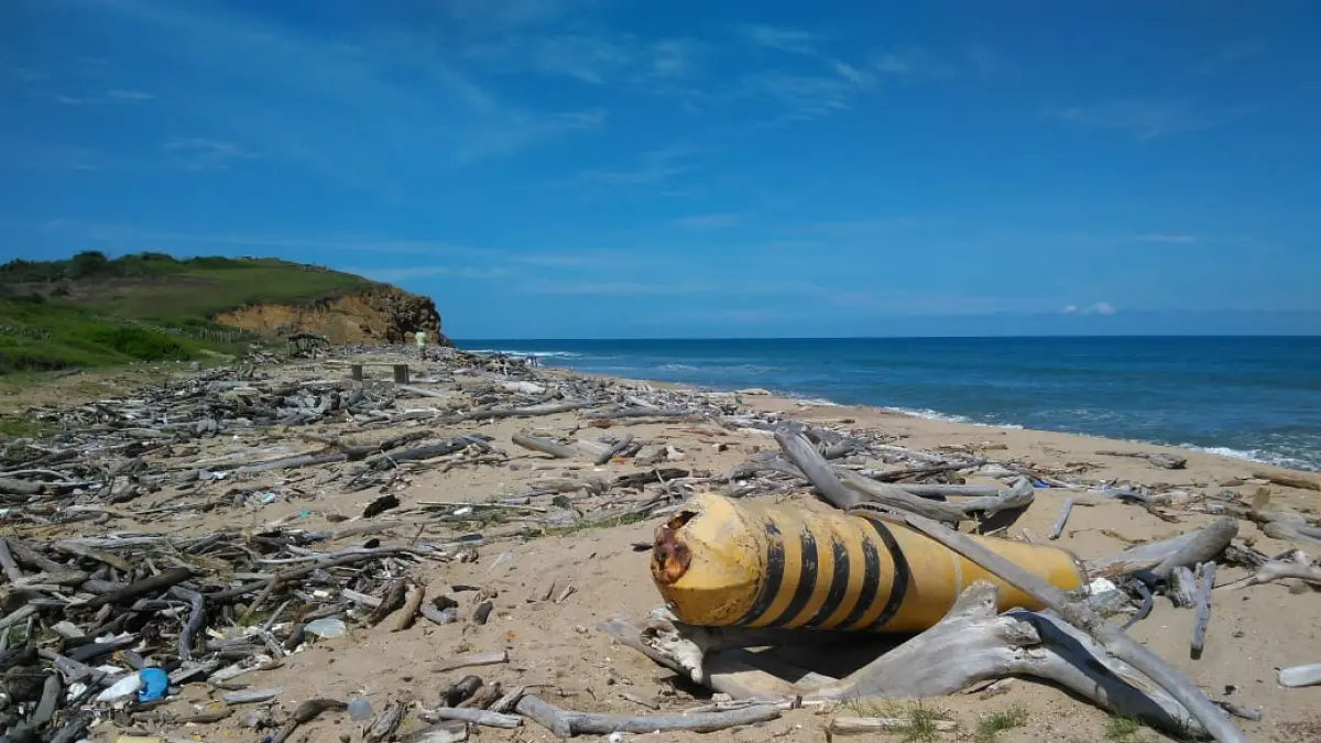 Descubren que la madera a la deriva puede ser clave para medir la contaminación plástica en las playas del Caribe.

 – Tinta clara