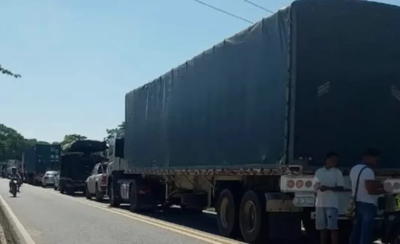 Dos conductores de tractomula han sido asesinados en las carreteras de Montes de María en robos

 – Tinta clara