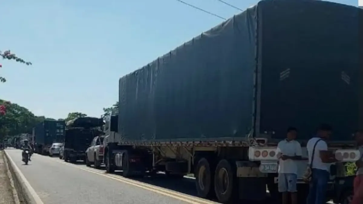 Dos conductores de tractomula han sido asesinados en las carreteras de Montes de María en robos

 – Tinta clara