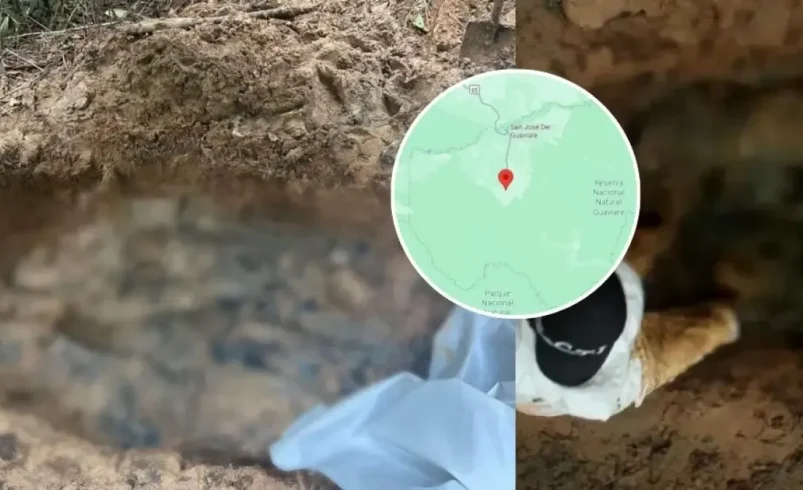 La identidad de los ocho campesinos asesinados y obligados a cavar su tumba

 – Tinta clara
