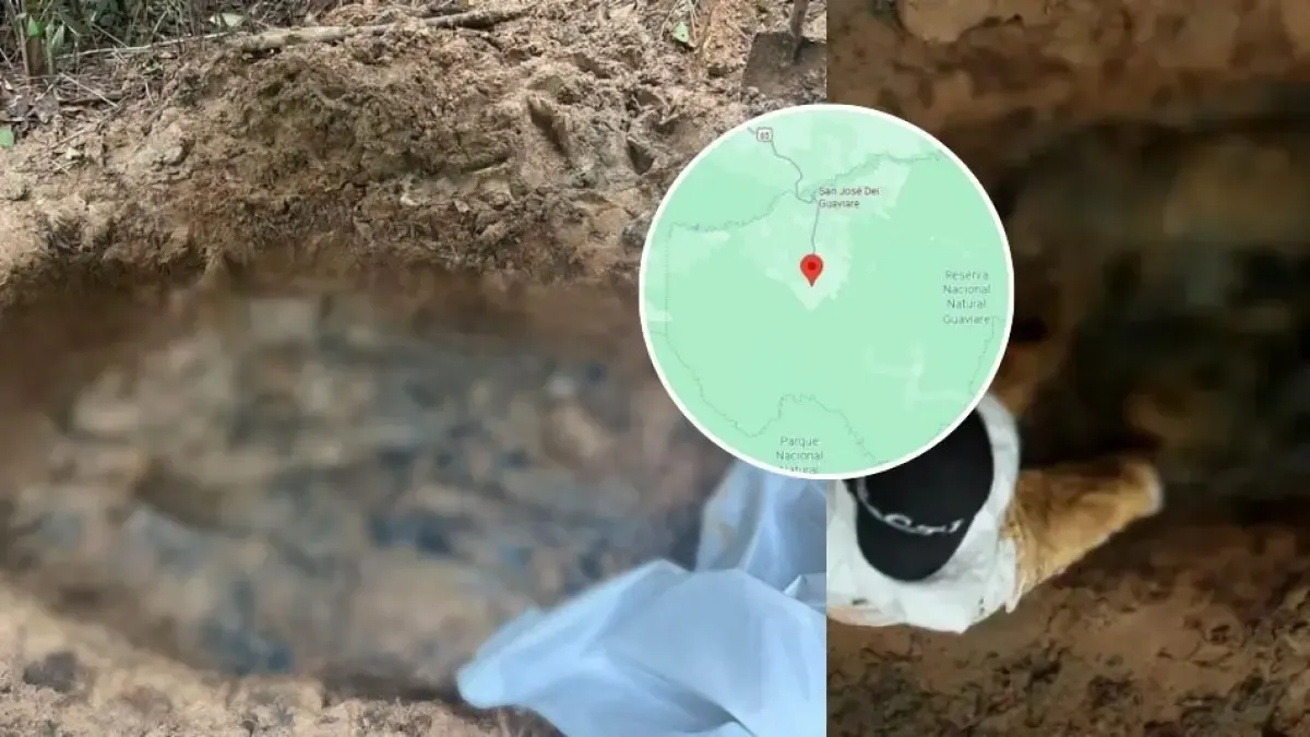 La identidad de los ocho campesinos asesinados y obligados a cavar su tumba

 – Tinta clara