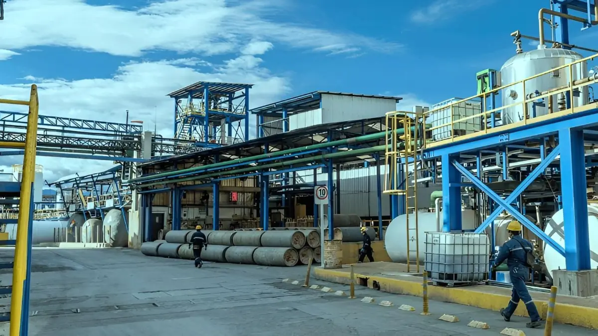Brinsa, propietario Refical y Blancox, invertirá $ 150 millones en innovación, sostenibilidad y tecnología

 – Tinta clara