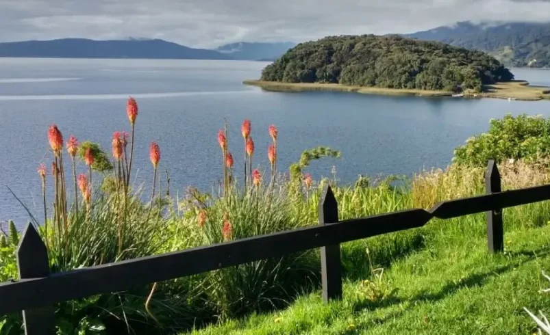 La isla particular ubicada en un lago de Nariño que fue declarada como un santuario

 – Tinta clara