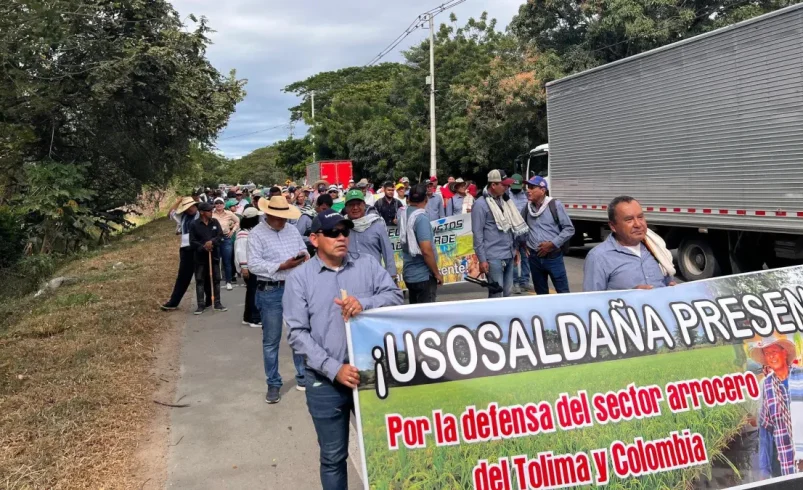 Huelga de arroz en Colombia hoy 17 de julio

 – Tinta clara